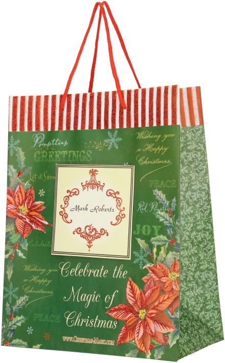 00-56400 MR GIFT BAG 10 X 12.75''
