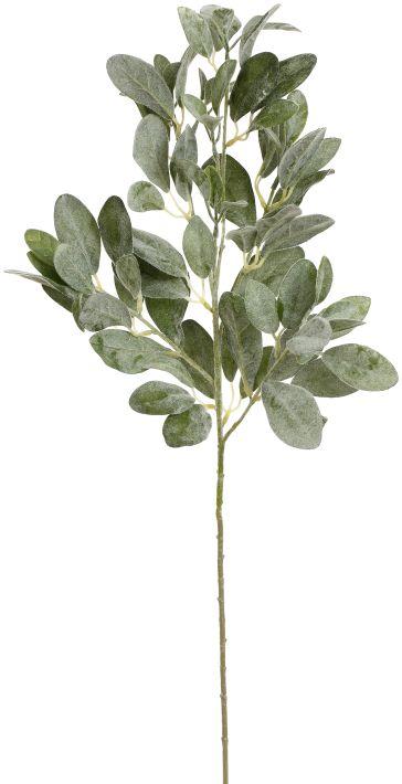 Lambs Ear Leaf Spray,  Large- 33 Inches