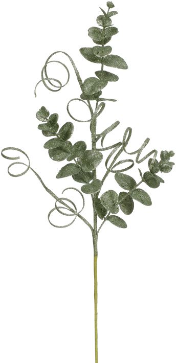 Glittered Eucalyptus Curly Spray - 27.5 Inches