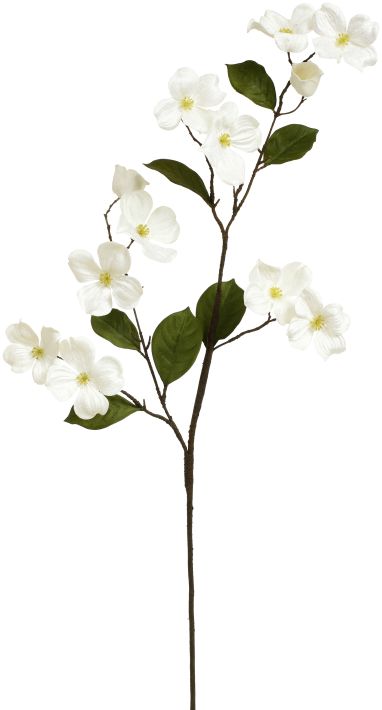 Spring Dogwood Spray - 39 Inches