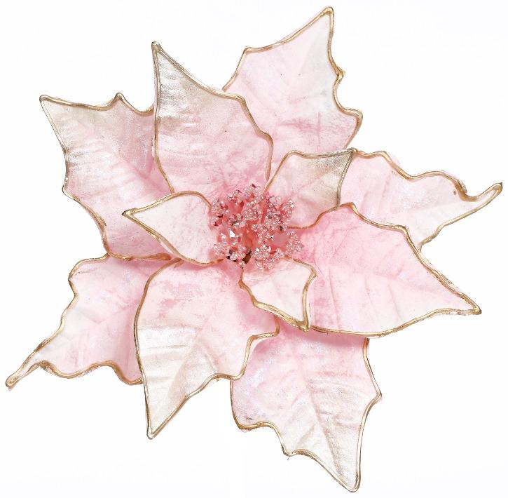 Festive Radiant Poinsettia – 4 Inches