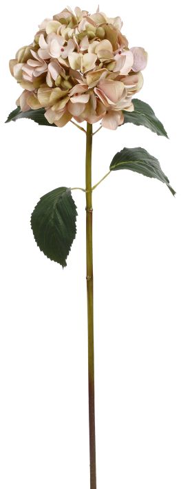 Hydrange Stem - 35 Inches