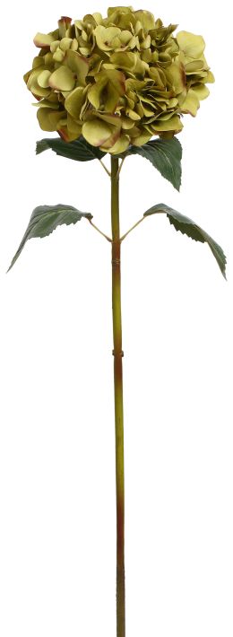 Hydrange Stem - 35 Inches
