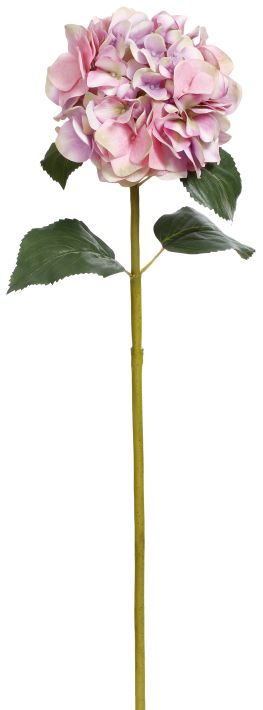 Hydrangea Stem - 29 Inches