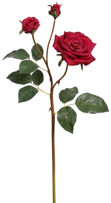 Garden Rose X3 - 19.5 Inches