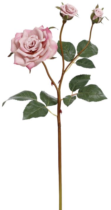 Garden Rose X3 - 19.5 Inches
