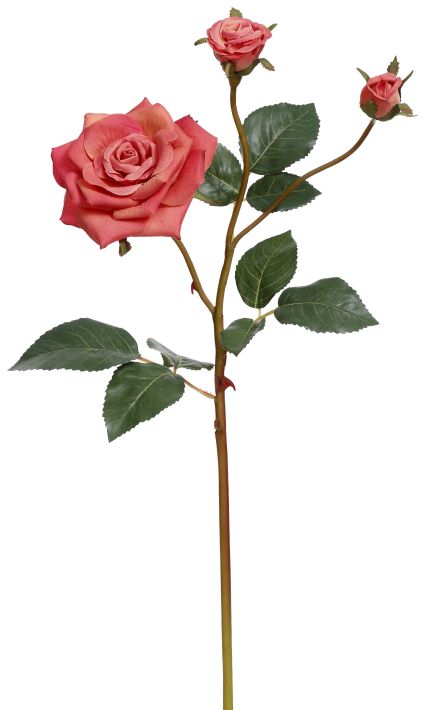 Garden Rose X3 - 19.5 Inches