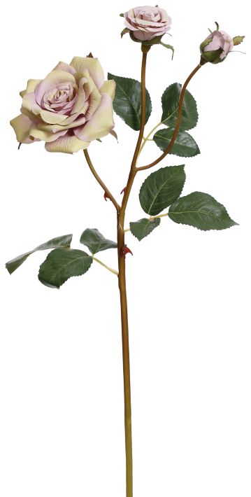 Garden Rose X3 - 19.5 Inches