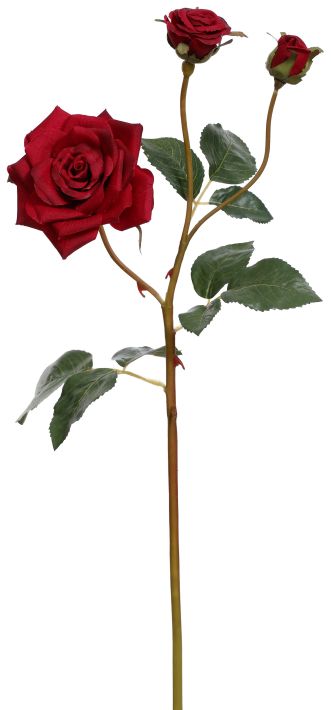 Garden Rose X3 - 19.5 Inches