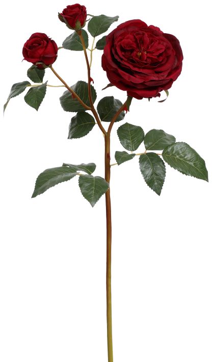 Cabbage Rose X3 - 23 Inches