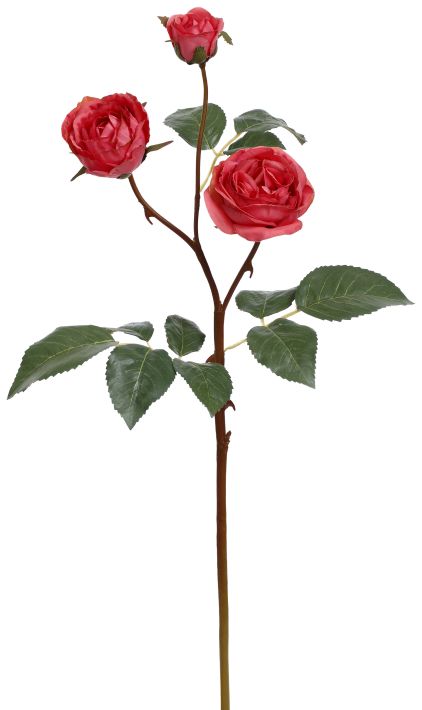 Roses Stem - 19.5 Inches