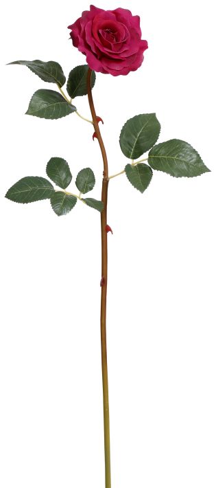 Tea Rose -21 Inches