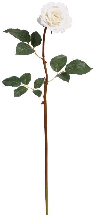 Tea Rose -21 Inches