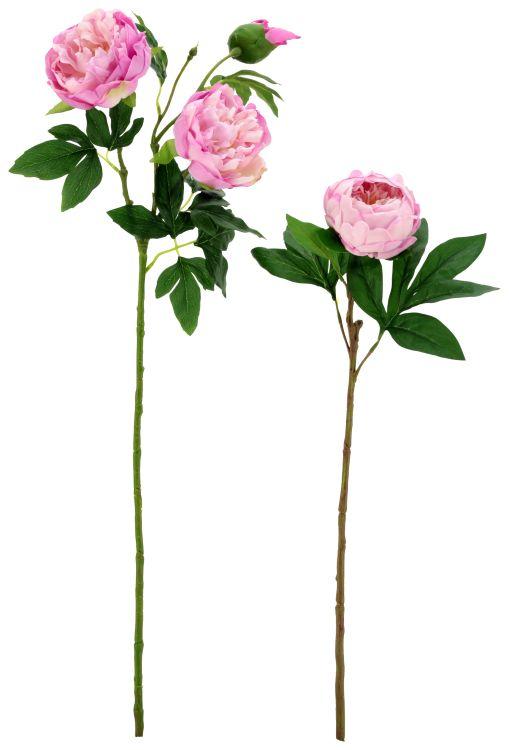 Ruffled Peony Natural Touch, Assortment of 2 - 23-32 Inches