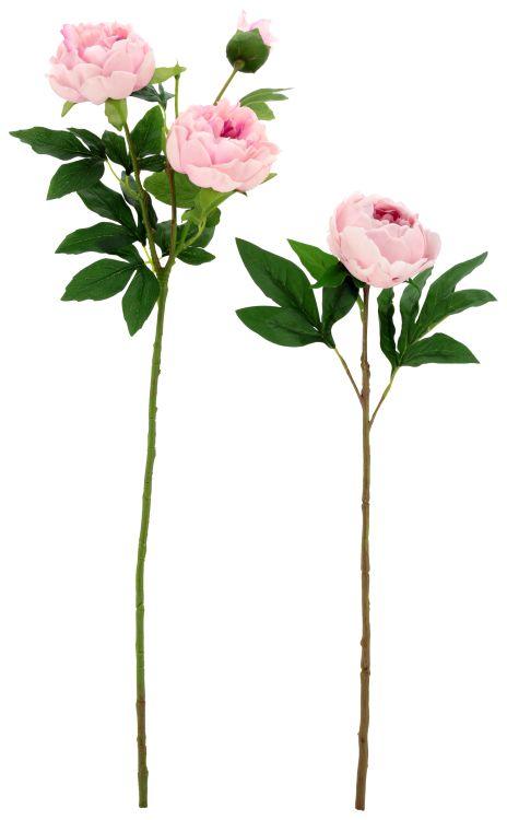 Ruffled Peony Natural Touch, Assortment of  2 - 23-32 Inches