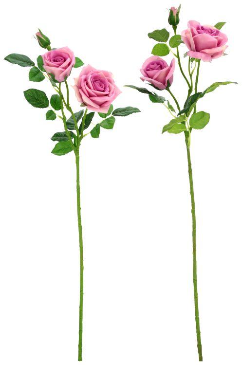 Luscious Garden Rose Natural Touch, Assortment of  2- 31 Inches