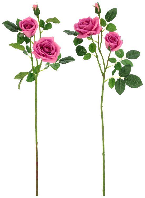Luscious Garden Rose Natural Touch, Assortment of  2- 31 Inches