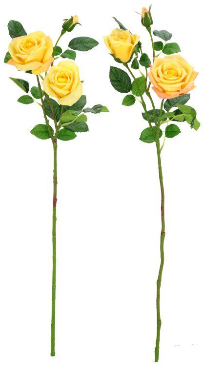 Luscious Garden Rose Natural Touch, Assortment of  2- 31 Inches