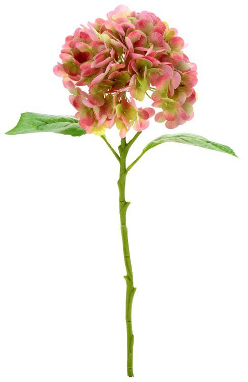 Vibrant Hydrangea Natural Touch - 19 Inches