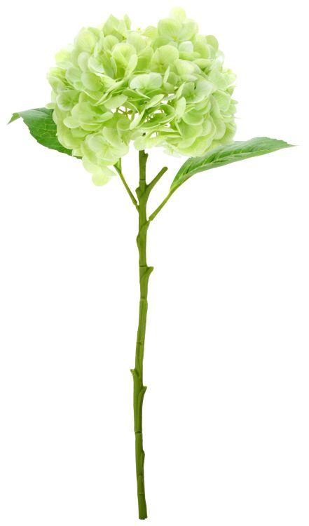 Vibrant Hydrangea Natural Touch- 19 Inches