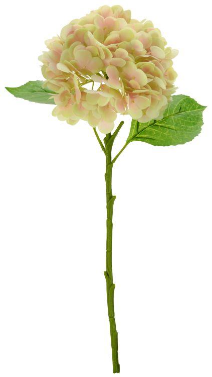 Vibrant Hydrangea Natural Touch- 19 Inches