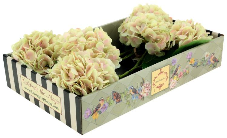 Vibrant Hydrangea Natural Touch, Box of 6 - 19 Inches