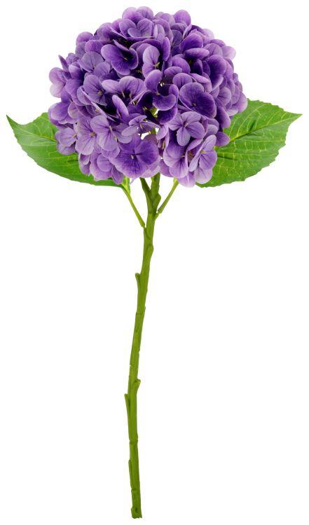Vibrant Hydrangea Natural Touch - 19 Inches