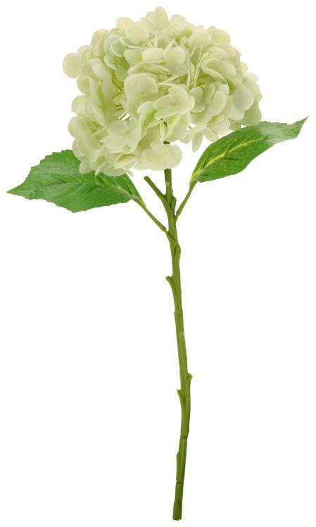 Vibrant Hydrangea Natural Touch - 19 Inches