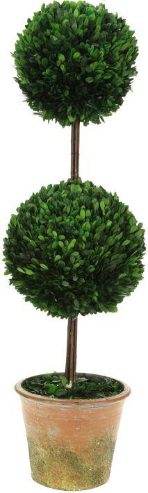 Tall Double Boxwood Topiary - 42 Inches