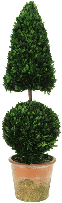 Boxwood Topiary Cone and Ball - 42 Inches