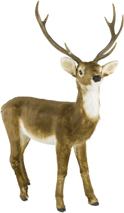 Standing Deer, Medium - 45 x 66 Inches
