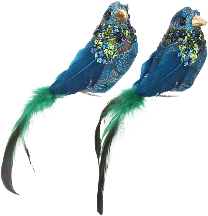 Sparkling Bird Ornament, Assortment of 2 - 6 x 3 Inches
