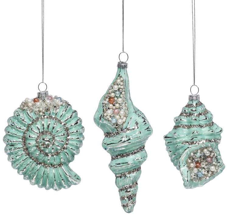 Seashell Ornament, Assortment of 3 - 5-7 Inches