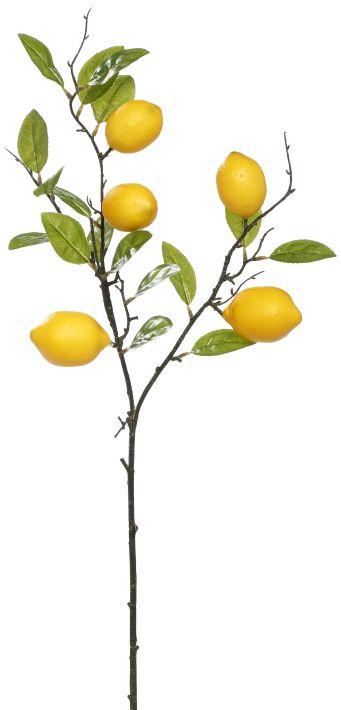 Lemon Spray, Box of 6 - 30 Inches