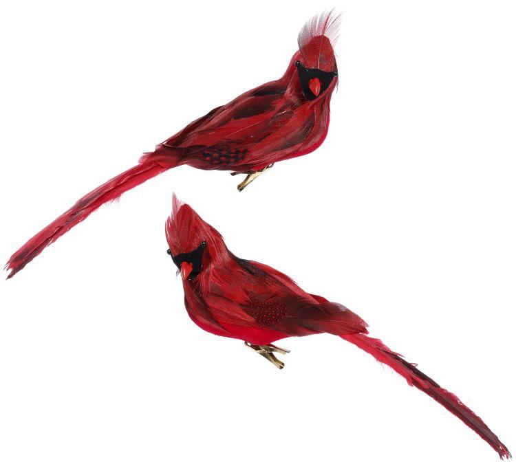 Cardinal Décor, Box of 4 - 11 x 3.5 Inches