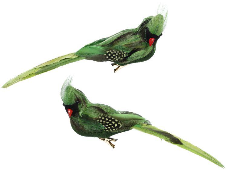 Tropical Bird Décor, Box of 4 - 11 x 3.5 Inches