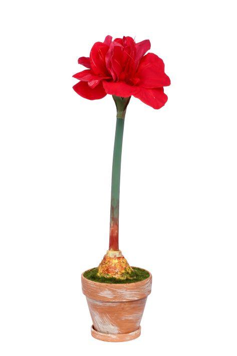 Potted Amaryllis Flower - 26 Inches
