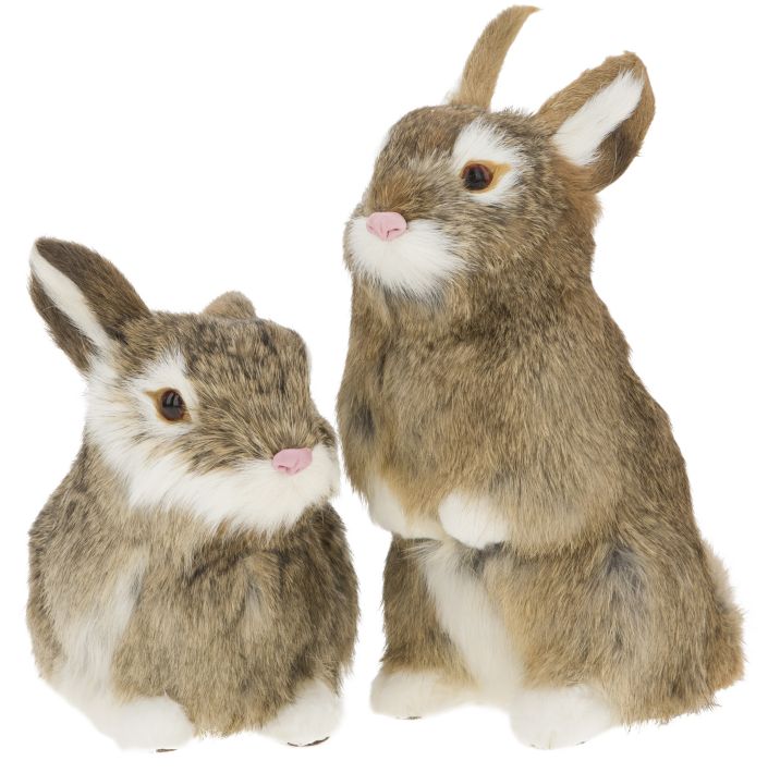 Rabbit, Assortment of 2 - 6-9 Inches