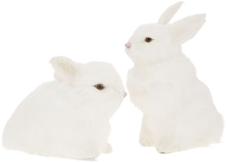Rabbit, Assortment of 2 - 6-9 Inches