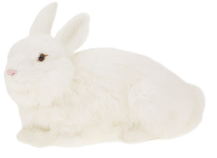 Sitting Rabbit  - 13x8 Inches