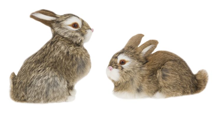 Rabbit, Assortment of 2 - 4-5 Inches
