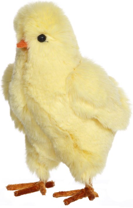 Chicks - 5.5 Inches