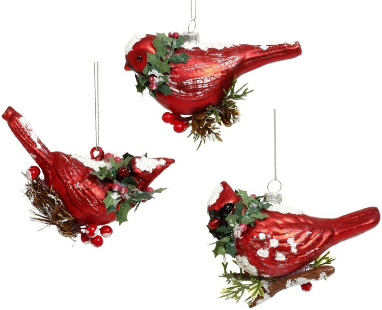 Elegant Birds Ornaments, Assortment of 3 - 5.5 Inches